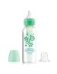Dr. Brown's butelka standard wąska Options+ zestaw od butelki do kubka 250 ml 6m+ zielona